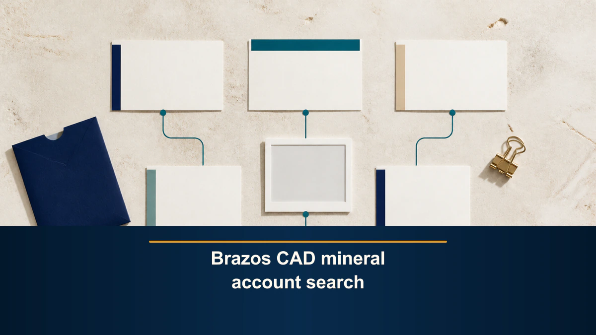 Brazos CAD mineral account search
